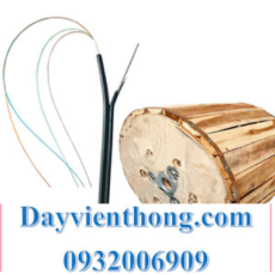 CÁP QUANG FTTH 02FO ỐNG LỎNG HIỆU POSTEF